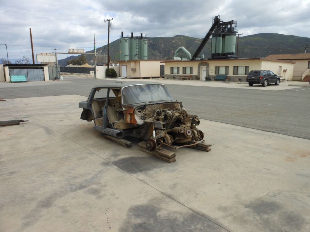 Das letzte Häuflein Flossenelend