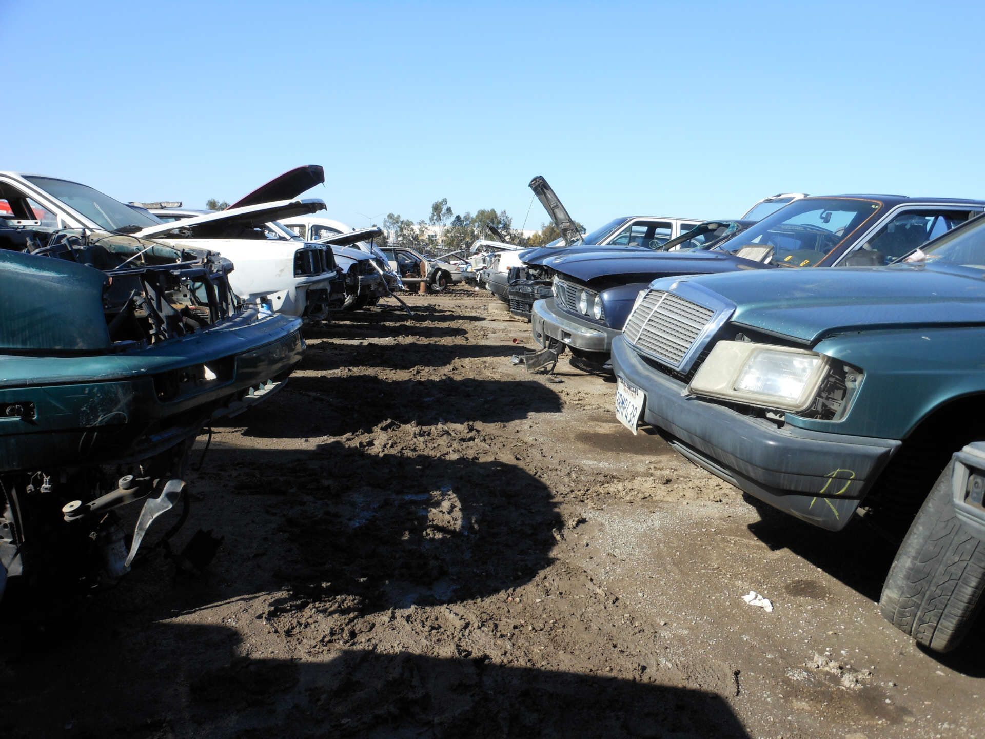 Wenn dann noch Sonne hinzukommt, fängt der Schlamm richtig an zu kleben ...