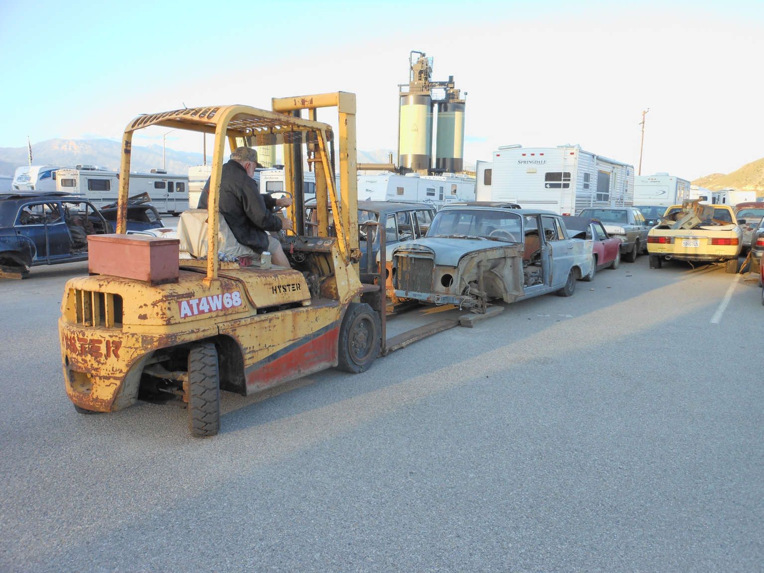 An Nachschub an Schlachtobjekten sollte es nicht mangeln