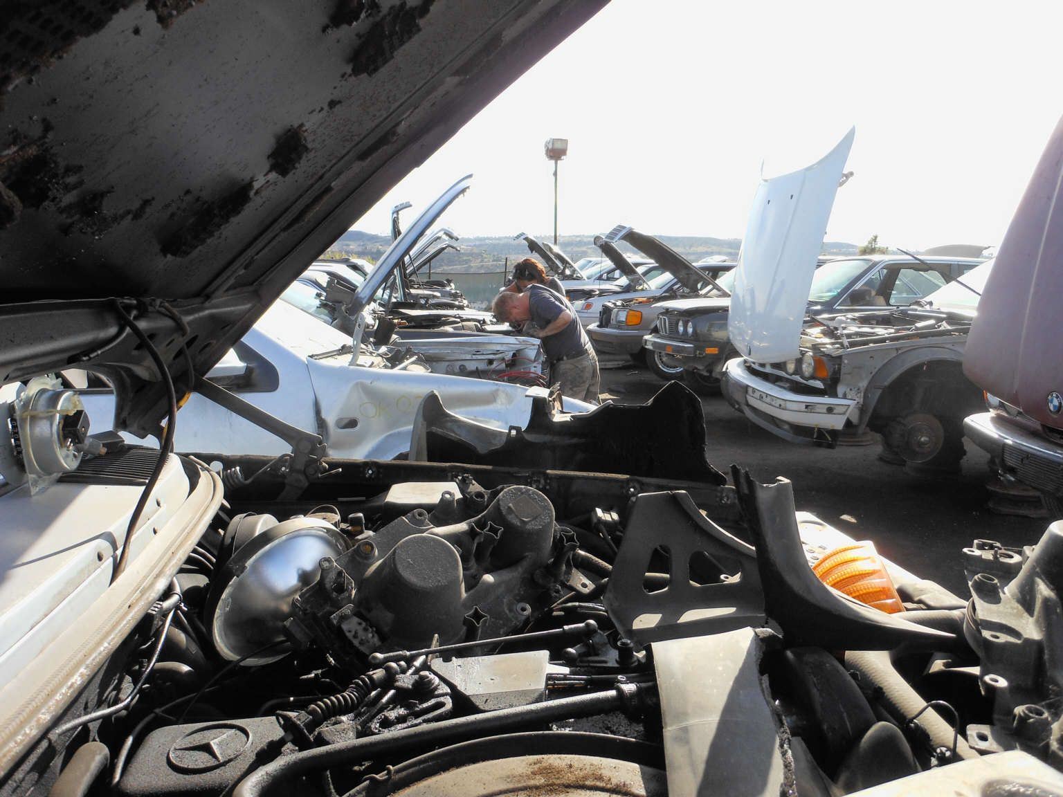 Beim Kotflügel vorschrauben