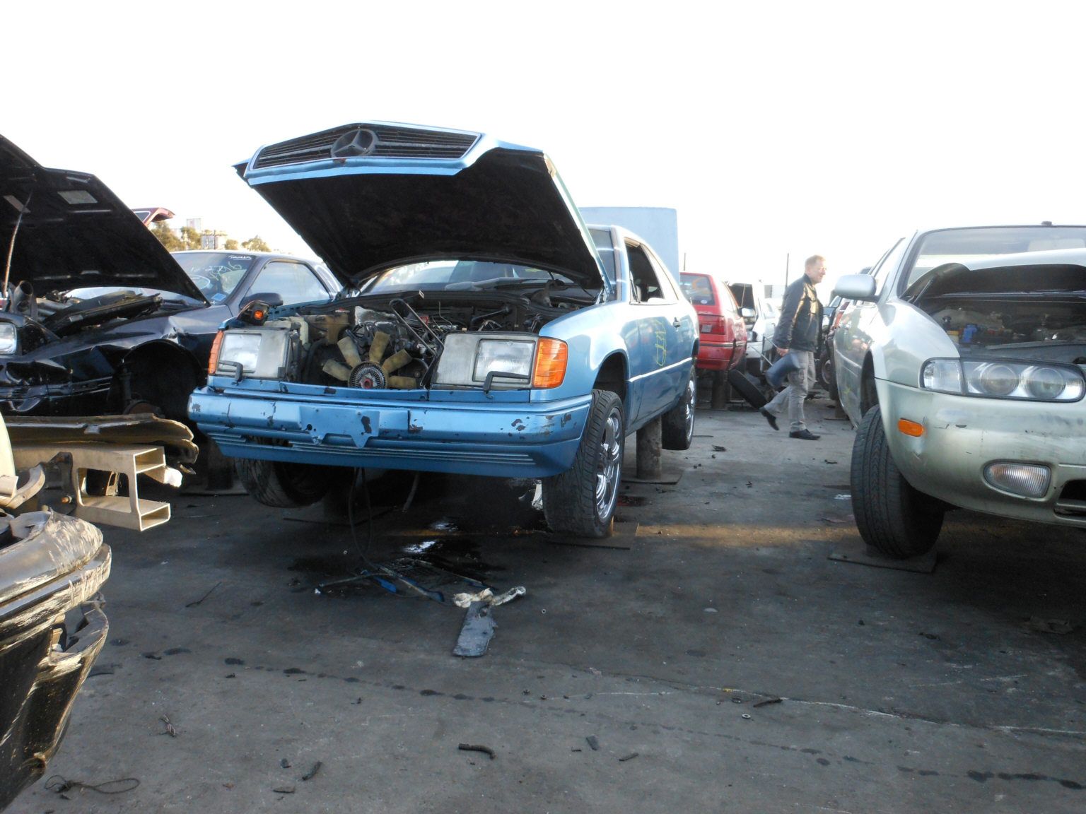 ... und ab und an ein spätes Coupé