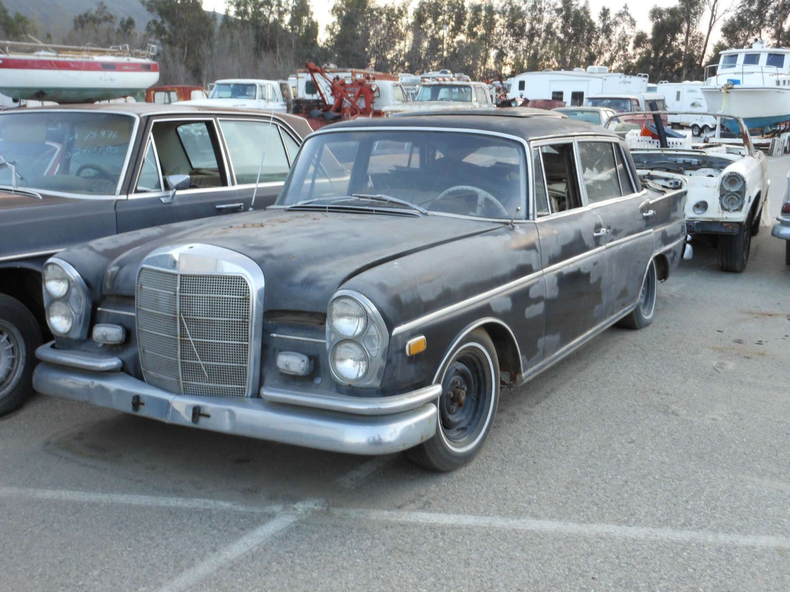 Für Flossenliebhaber eine echte Herausforderung