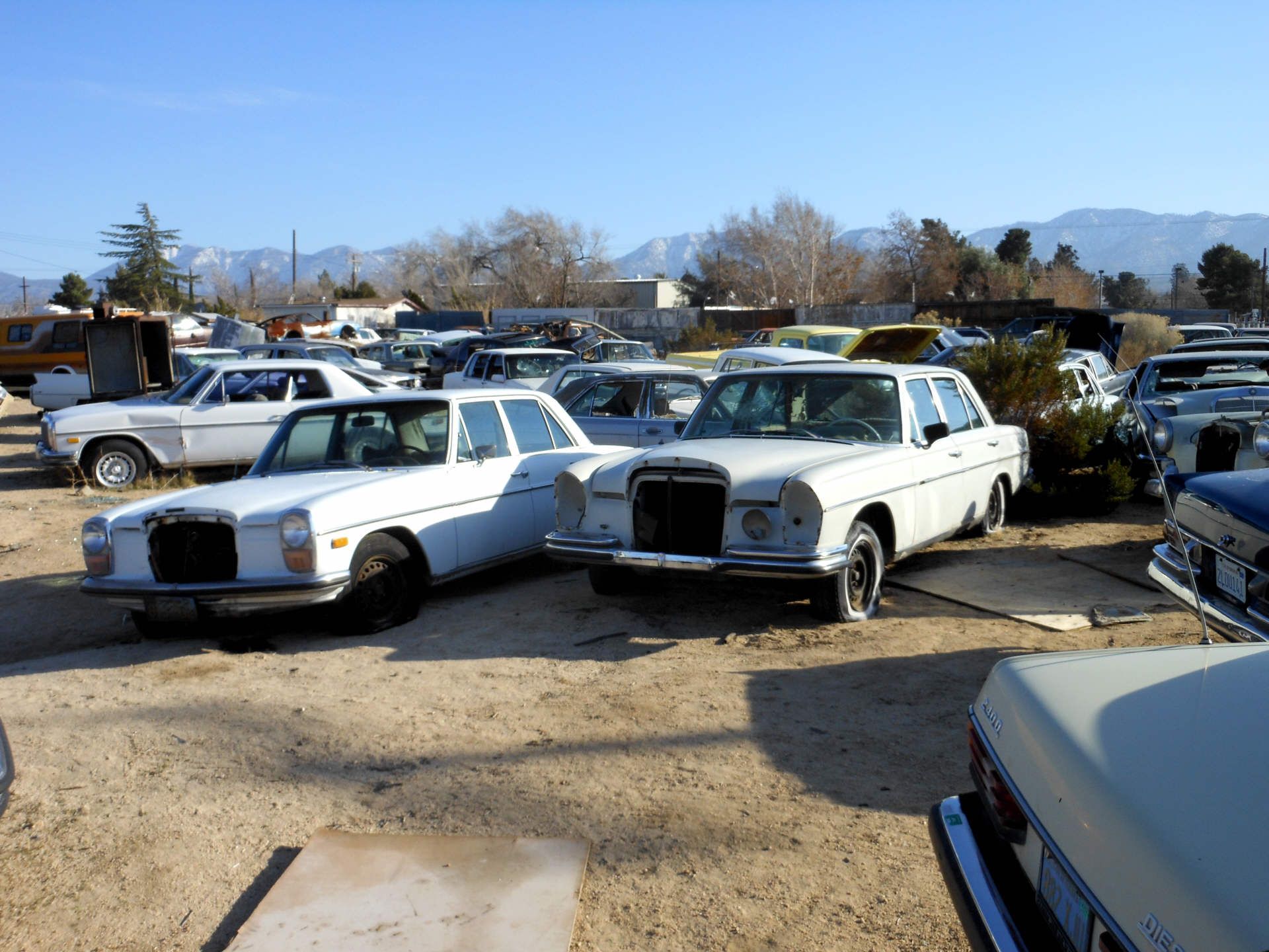 Vielleicht schaffen wir es ja irgendwann hier einen Container zu laden