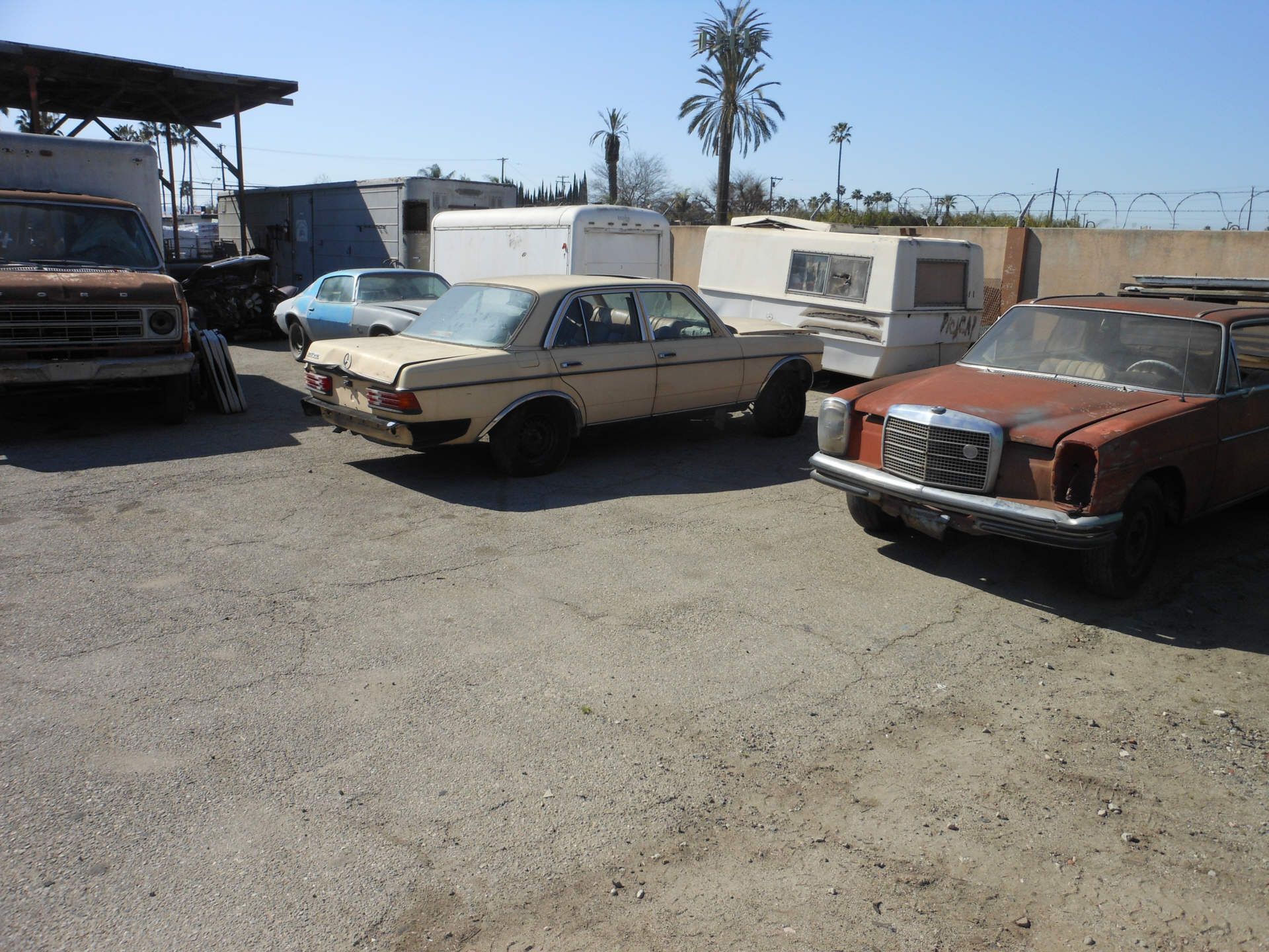 Insgesamt wurden es dann drei Schlachter ...