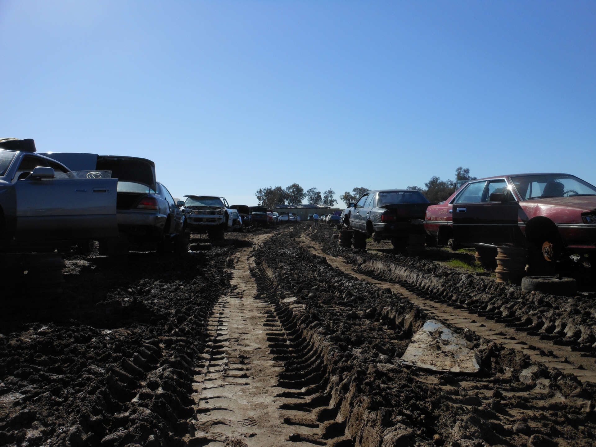 Das Zeugs klebt wirklich wie die Sau ...