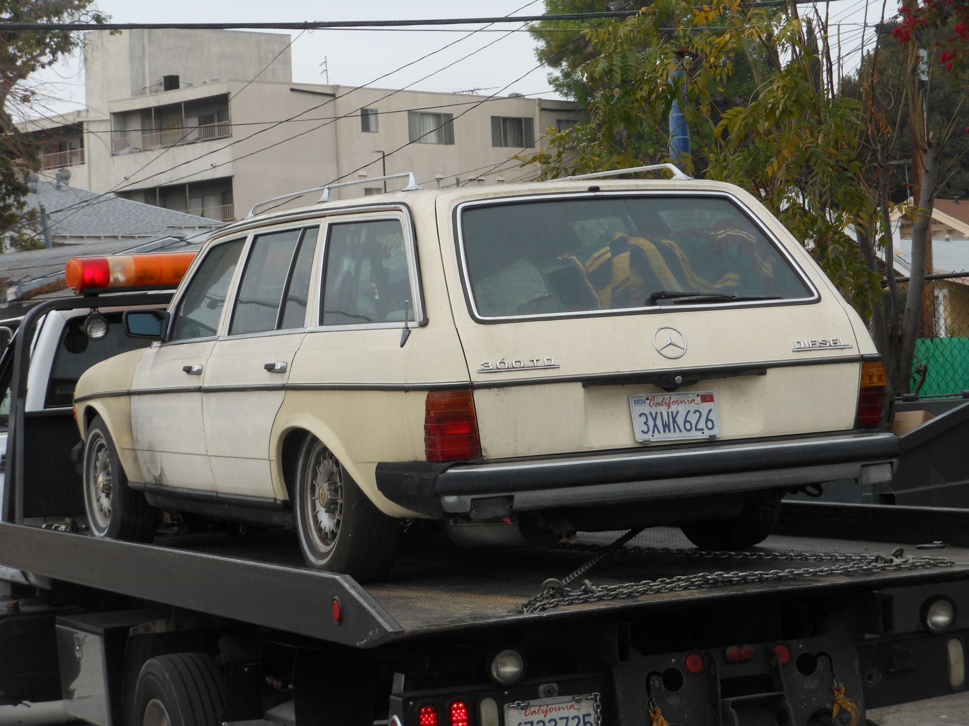 Zum Säubern fehlte uns einfach die Zeit