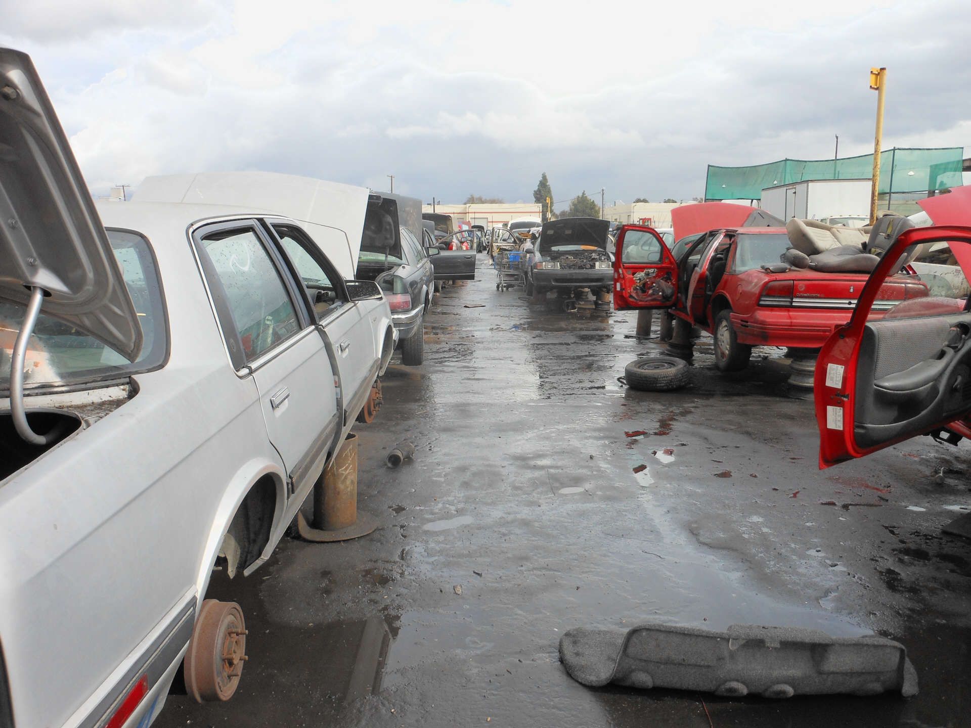 Und wenn es anfängt zu regnen, dann wir es tatsächlich unangenehm ...