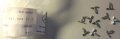 0019887478
