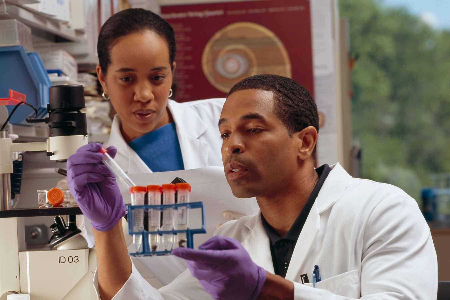 students check test tubes in a chemical laboratory