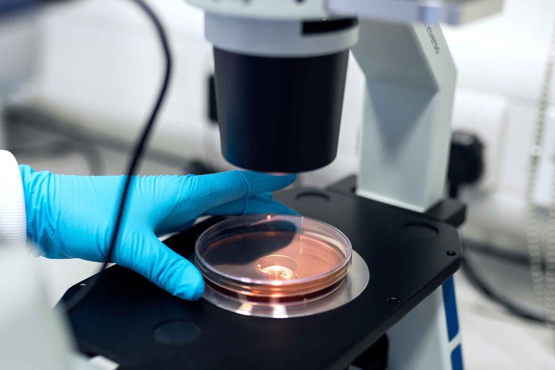 conducting research under a microscope