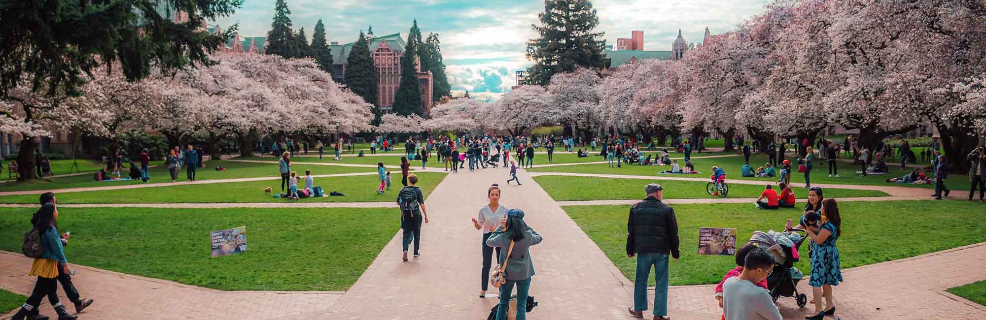 university campus park with students